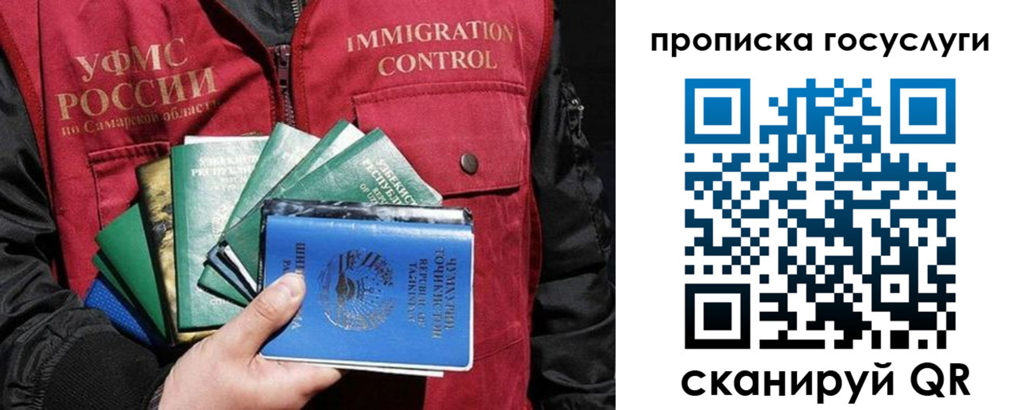 прописка поиск в Пензе